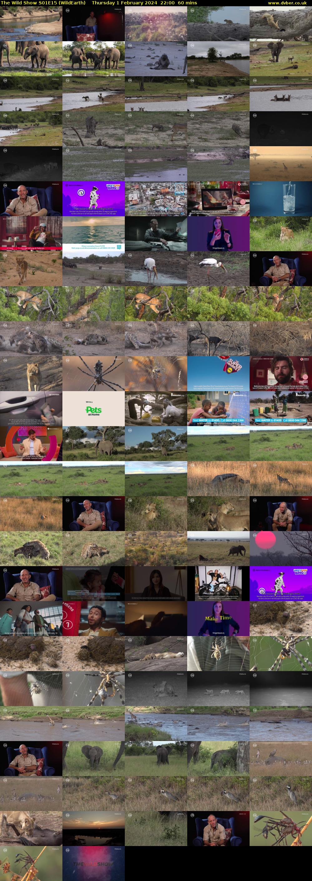 The Wild Show S01E15 (WildEarth) Thursday 1 February 2024 22:00 - 23:00