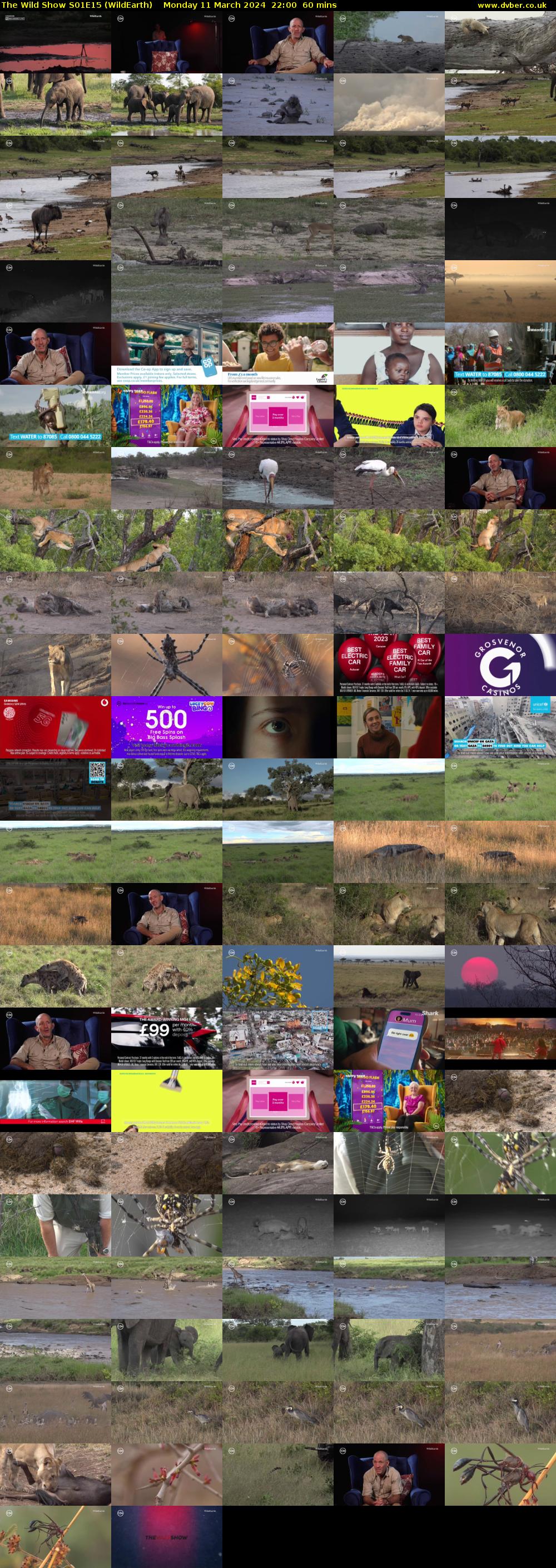 The Wild Show S01E15 (WildEarth) Monday 11 March 2024 22:00 - 23:00