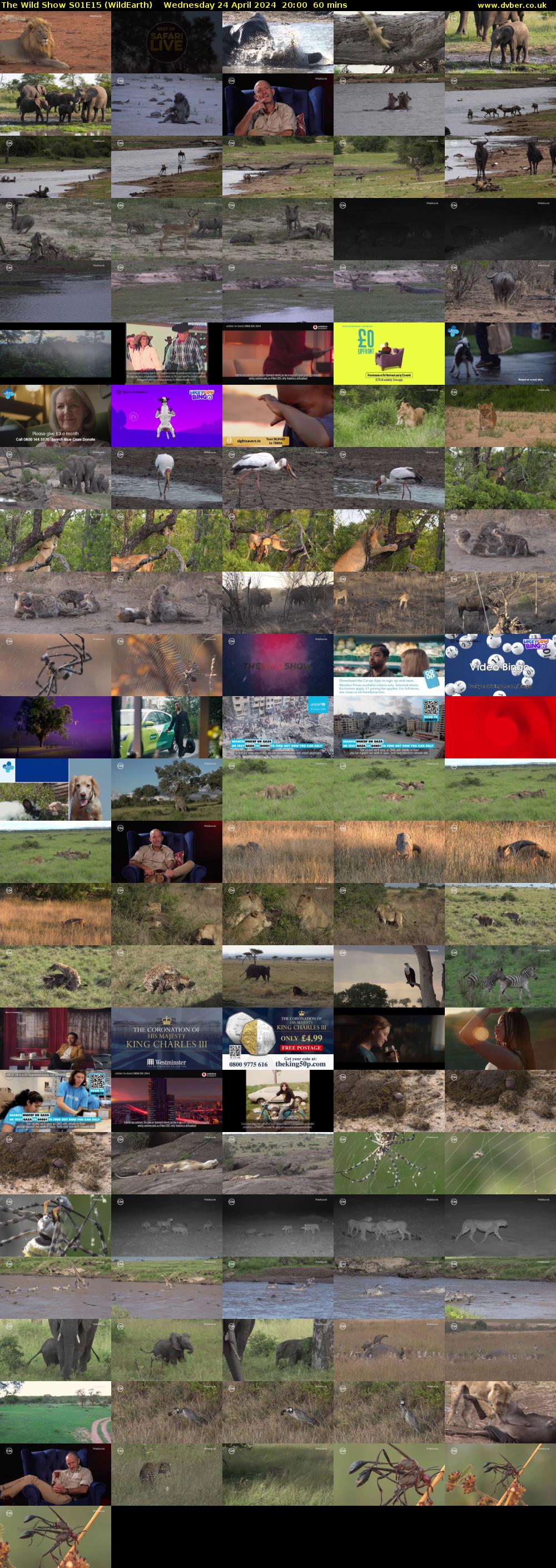 The Wild Show S01E15 (WildEarth) Wednesday 24 April 2024 20:00 - 21:00
