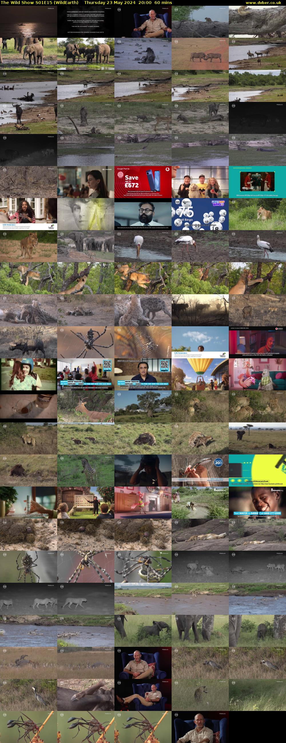 The Wild Show S01E15 (WildEarth) Thursday 23 May 2024 20:00 - 21:00