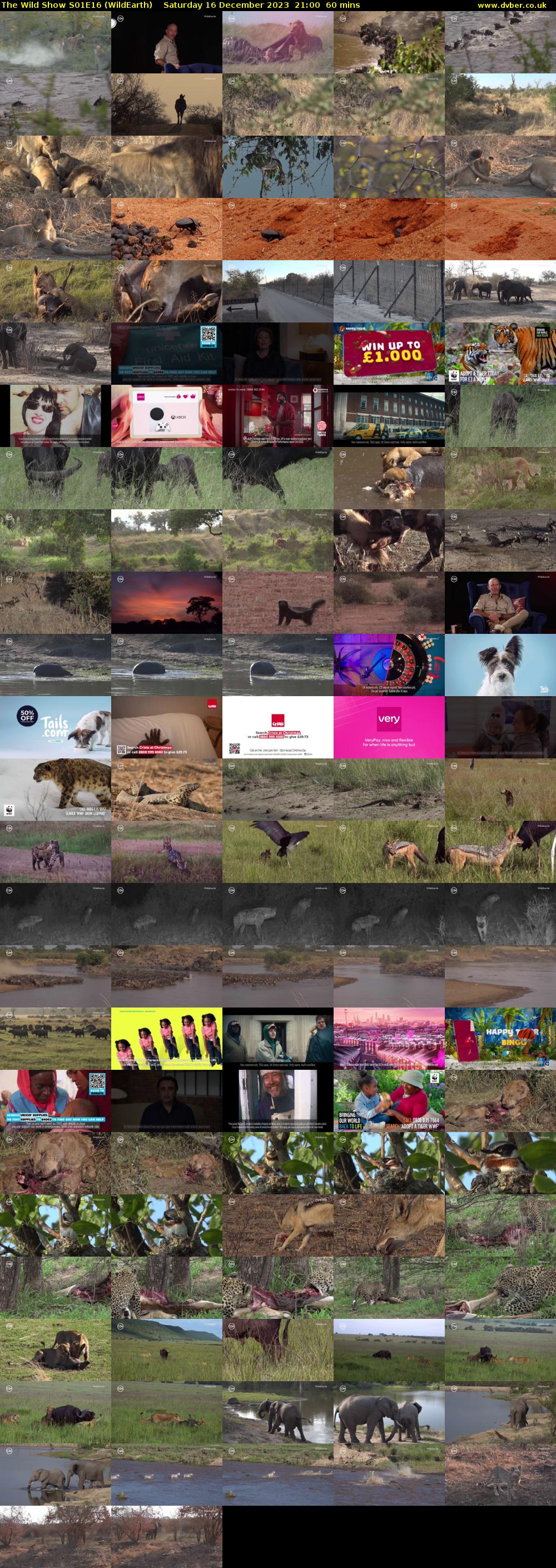 The Wild Show S01E16 (WildEarth) Saturday 16 December 2023 21:00 - 22:00