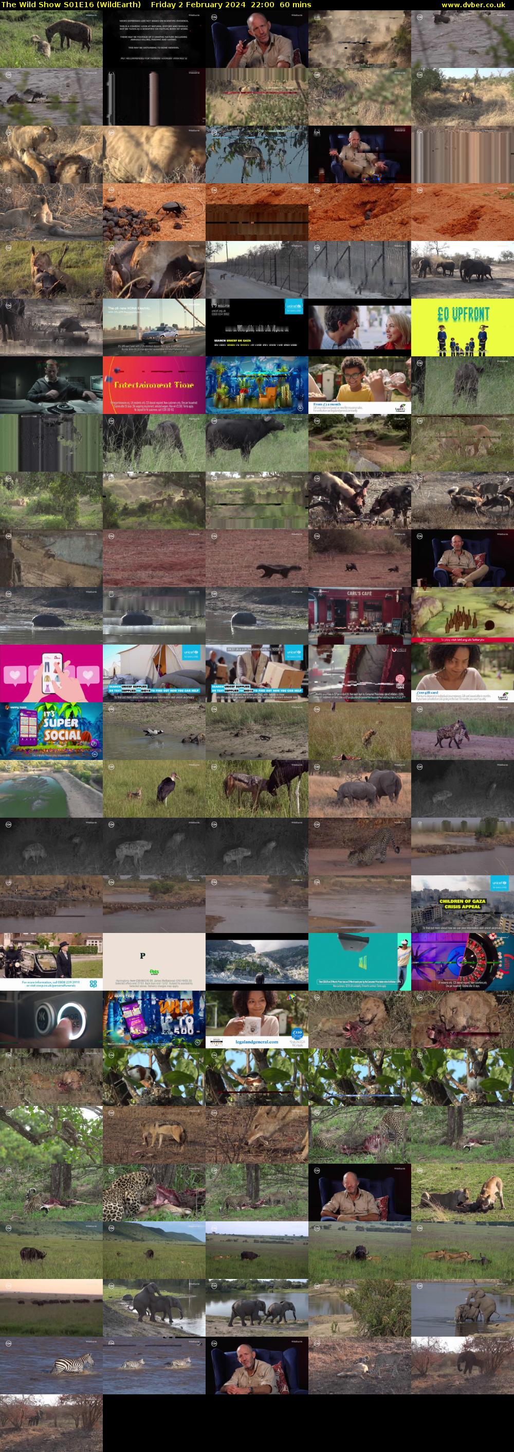 The Wild Show S01E16 (WildEarth) Friday 2 February 2024 22:00 - 23:00