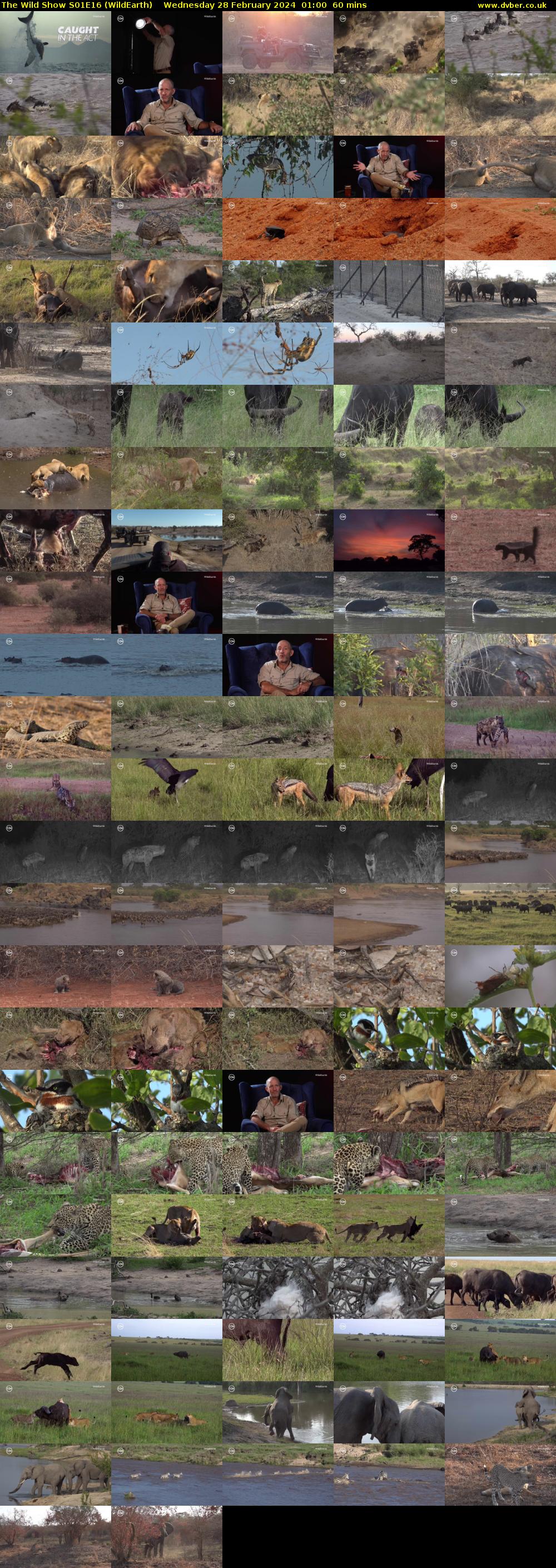 The Wild Show S01E16 (WildEarth) Wednesday 28 February 2024 01:00 - 02:00