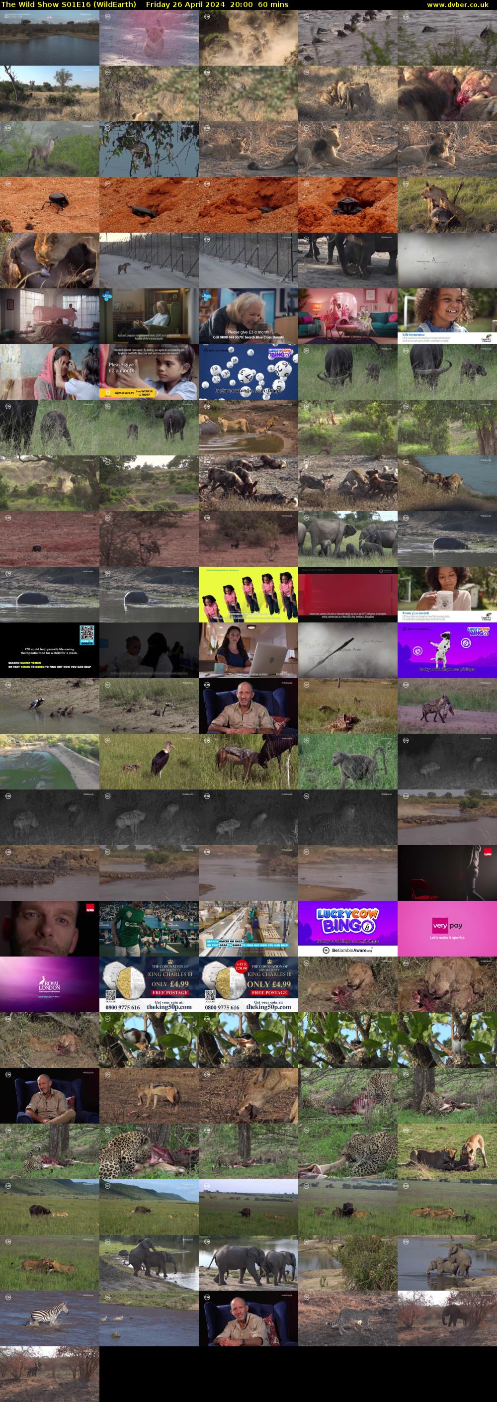 The Wild Show S01E16 (WildEarth) Friday 26 April 2024 20:00 - 21:00
