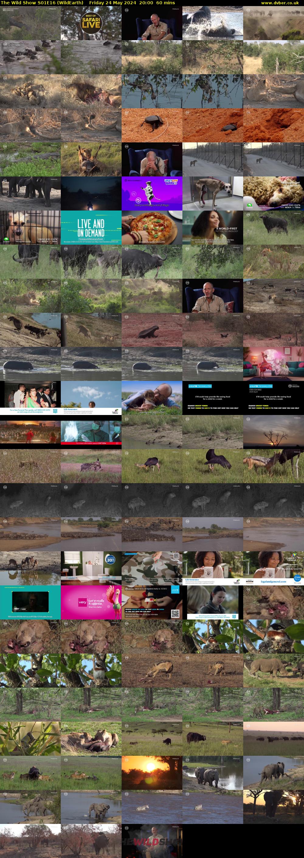 The Wild Show S01E16 (WildEarth) Friday 24 May 2024 20:00 - 21:00