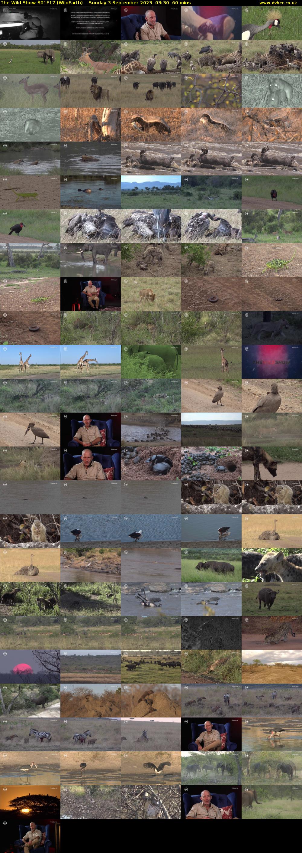 The Wild Show S01E17 (WildEarth) Sunday 3 September 2023 03:30 - 04:30