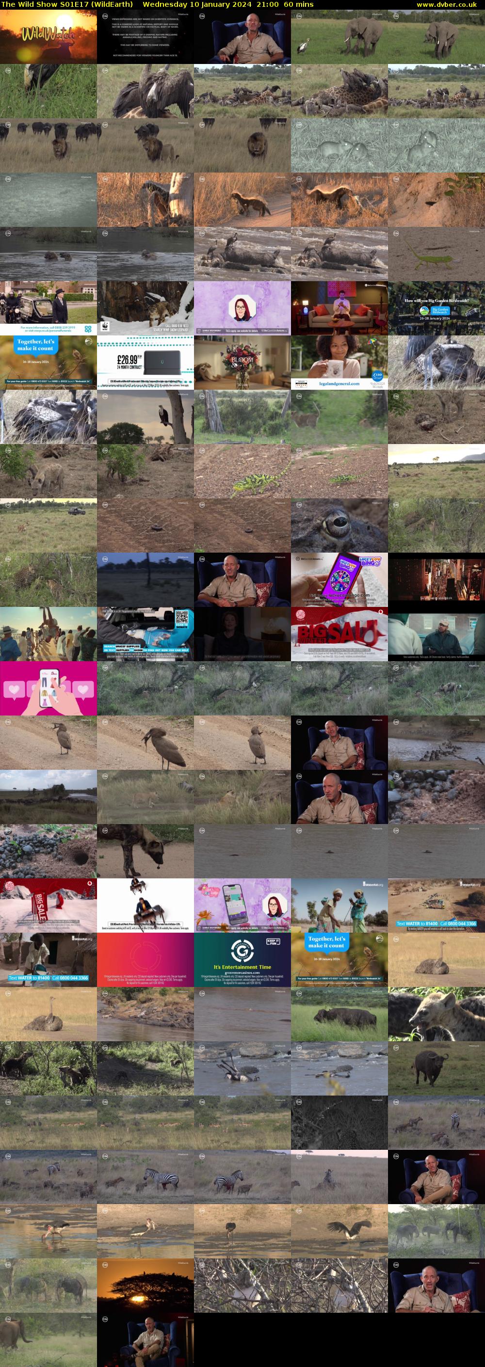 The Wild Show S01E17 (WildEarth) Wednesday 10 January 2024 21:00 - 22:00