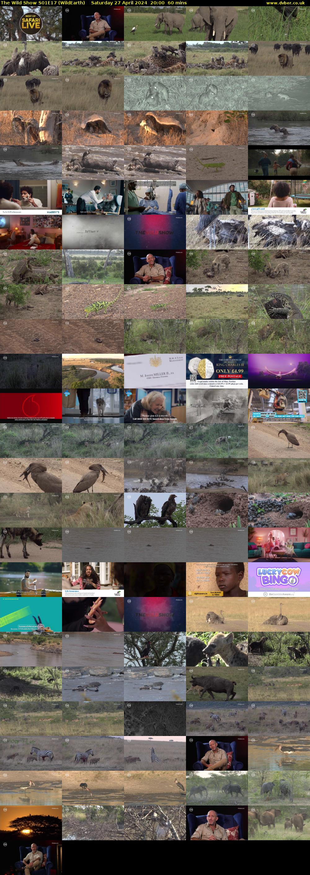 The Wild Show S01E17 (WildEarth) Saturday 27 April 2024 20:00 - 21:00