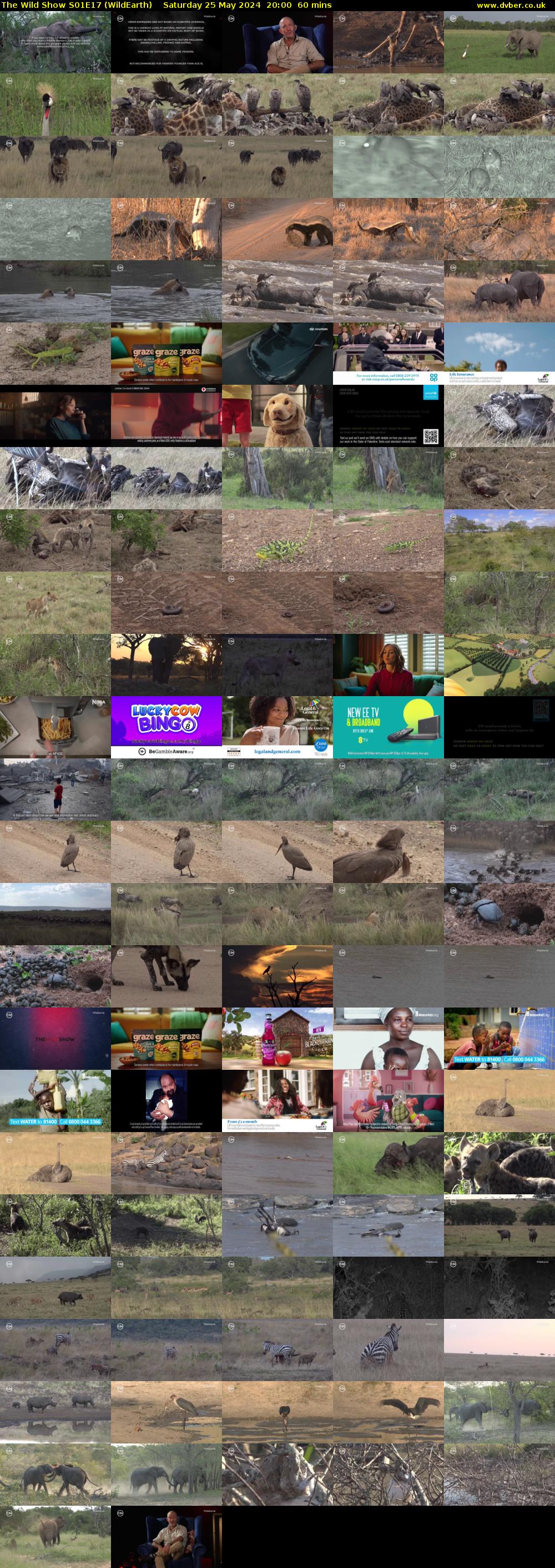 The Wild Show S01E17 (WildEarth) Saturday 25 May 2024 20:00 - 21:00