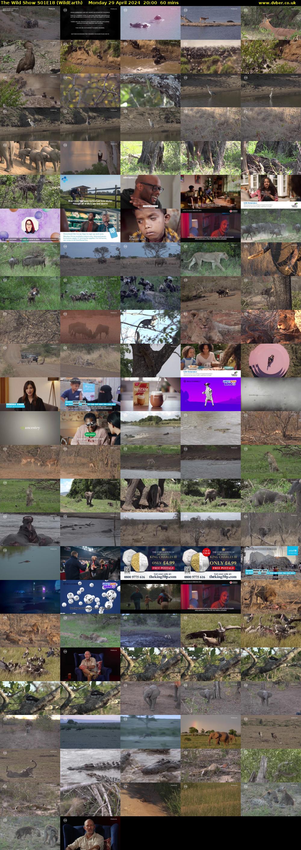 The Wild Show S01E18 (WildEarth) Monday 29 April 2024 20:00 - 21:00