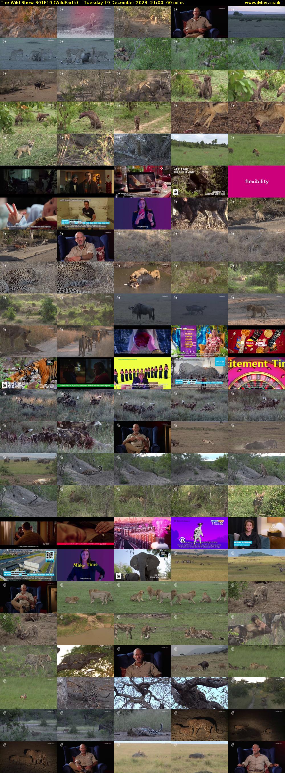 The Wild Show S01E19 (WildEarth) Tuesday 19 December 2023 21:00 - 22:00