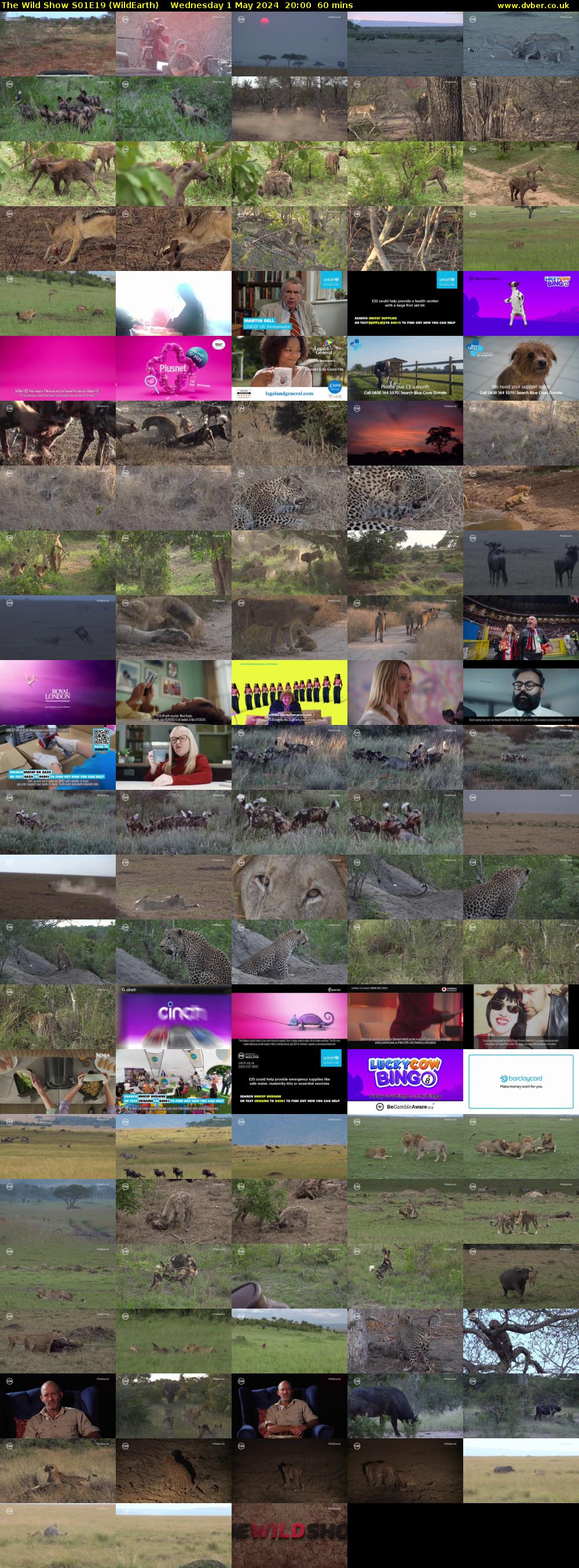 The Wild Show S01E19 (WildEarth) Wednesday 1 May 2024 20:00 - 21:00