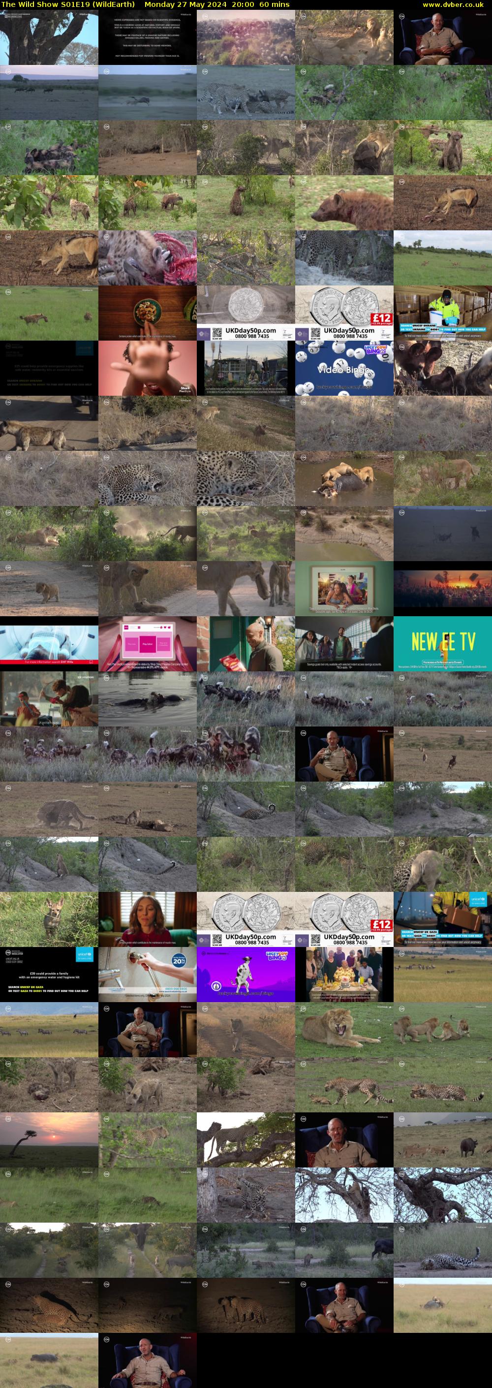 The Wild Show S01E19 (WildEarth) Monday 27 May 2024 20:00 - 21:00