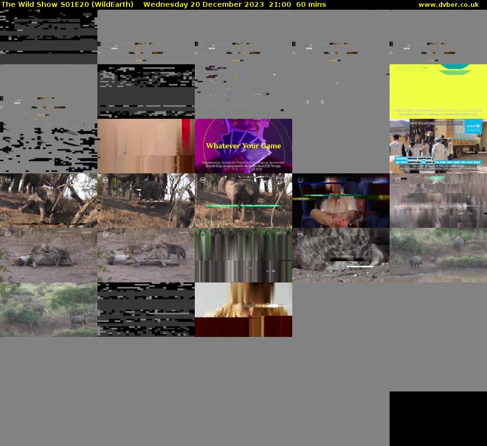 The Wild Show S01E20 (WildEarth) Wednesday 20 December 2023 21:00 - 22:00
