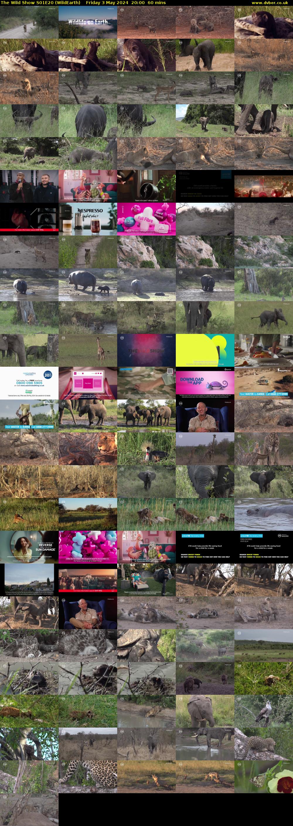 The Wild Show S01E20 (WildEarth) Friday 3 May 2024 20:00 - 21:00