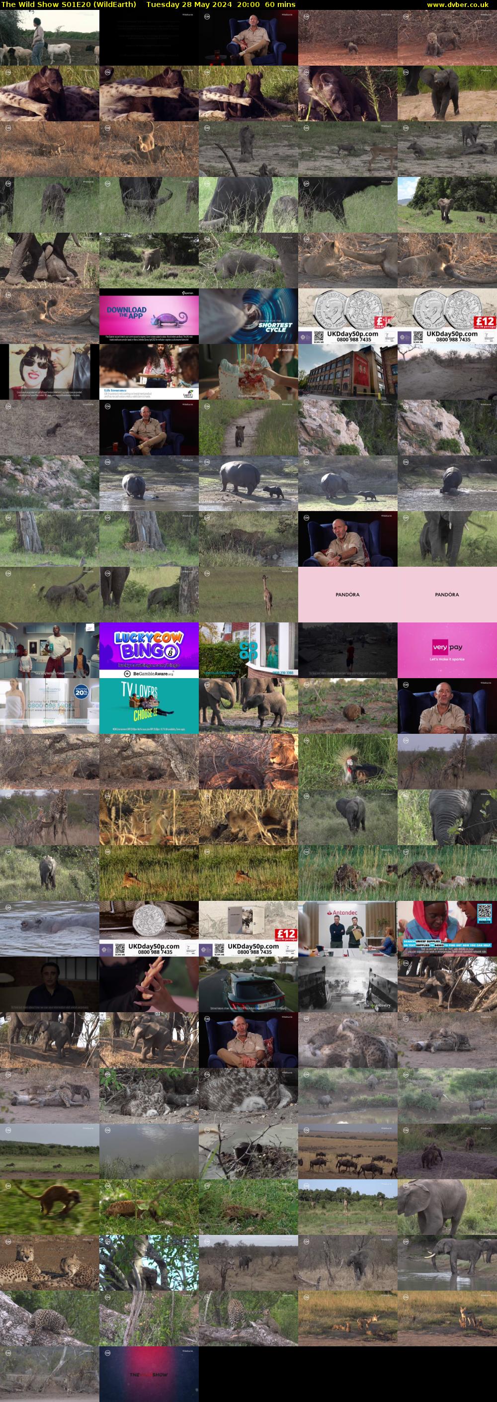 The Wild Show S01E20 (WildEarth) Tuesday 28 May 2024 20:00 - 21:00