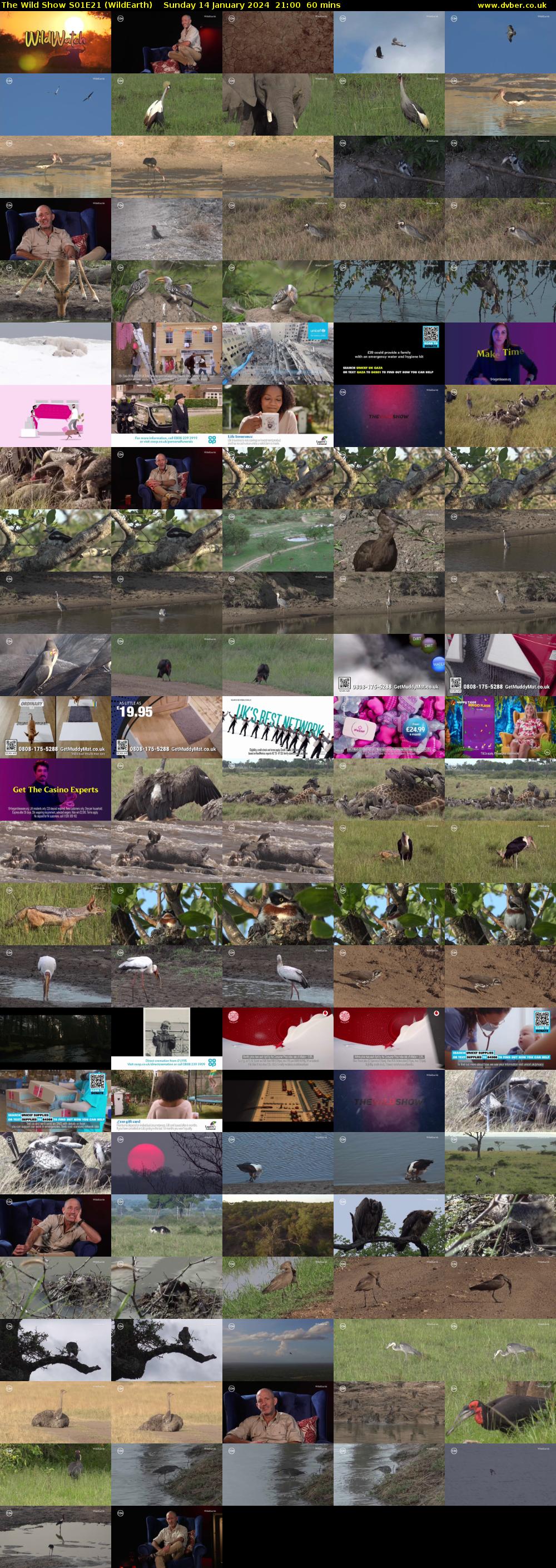 The Wild Show S01E21 (WildEarth) Sunday 14 January 2024 21:00 - 22:00