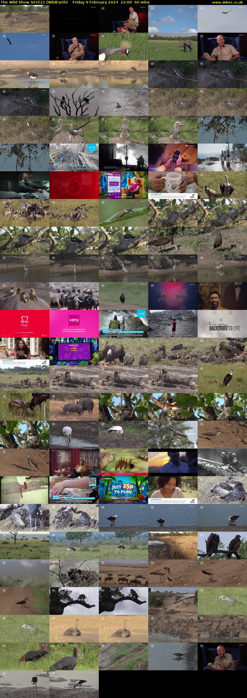 The Wild Show S01E21 (WildEarth) Friday 9 February 2024 22:00 - 23:00