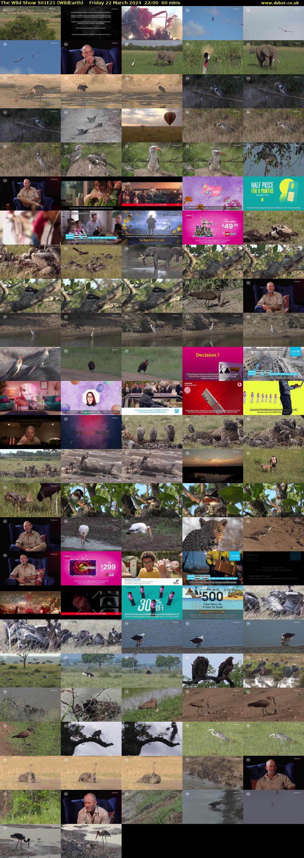 The Wild Show S01E21 (WildEarth) Friday 22 March 2024 22:00 - 23:00