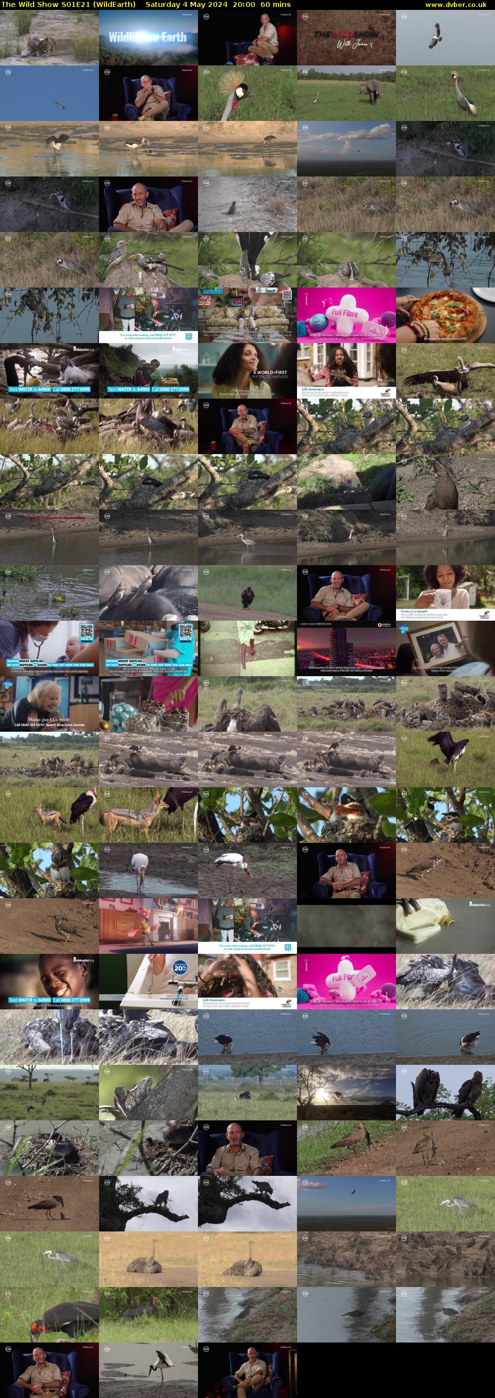 The Wild Show S01E21 (WildEarth) Saturday 4 May 2024 20:00 - 21:00