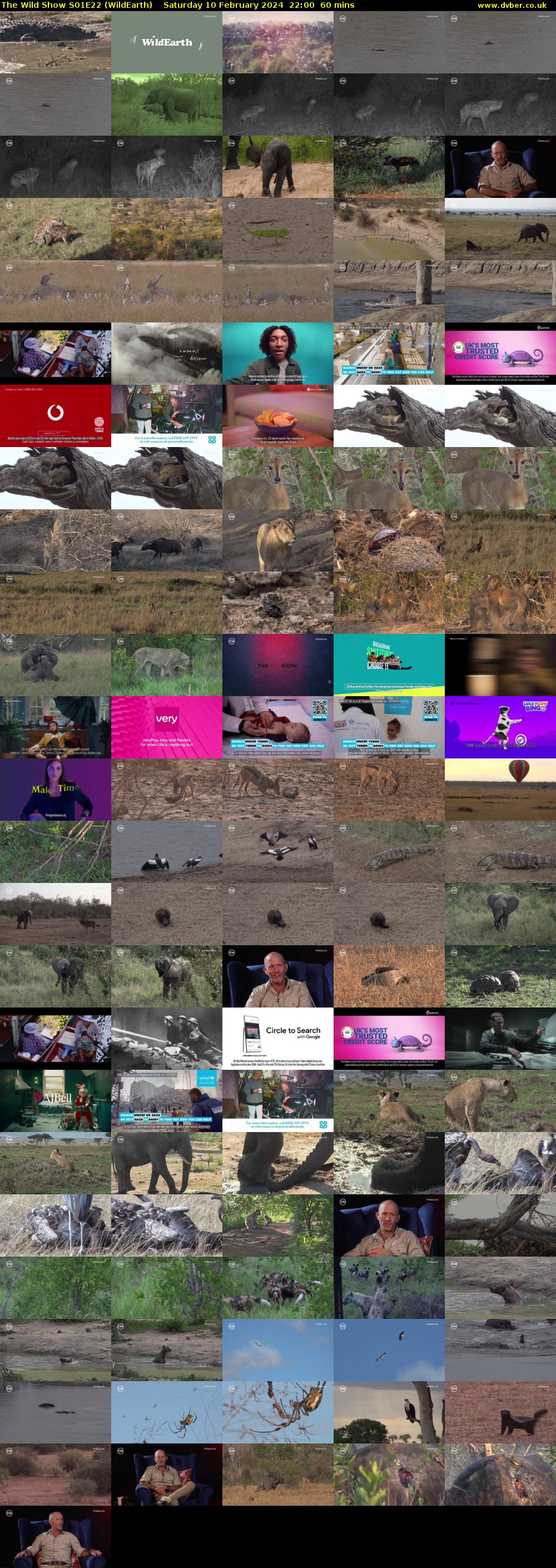 The Wild Show S01E22 (WildEarth) Saturday 10 February 2024 22:00 - 23:00
