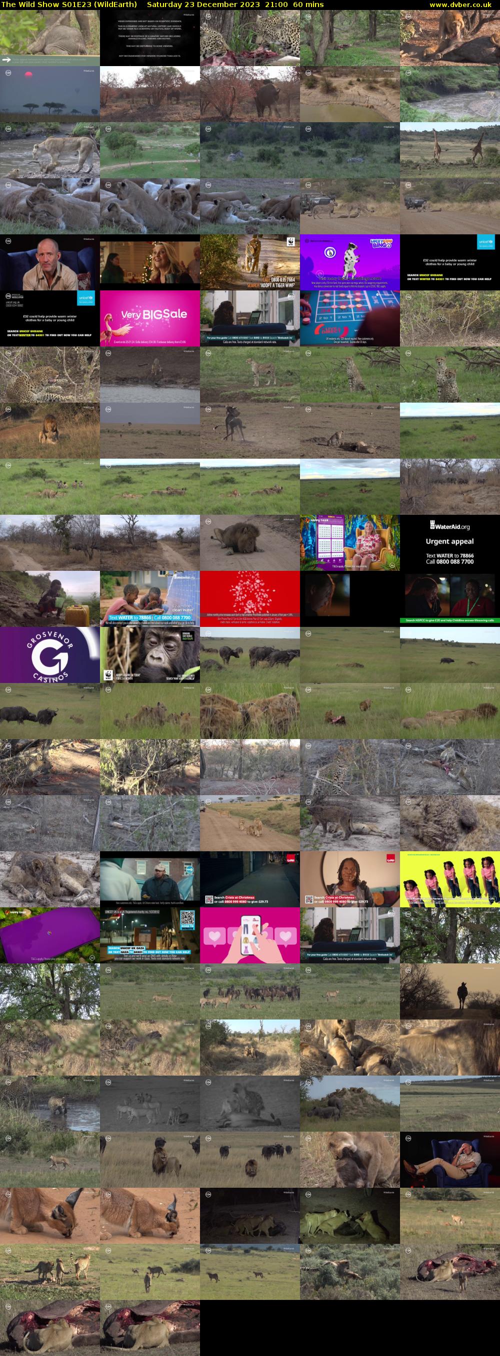 The Wild Show S01E23 (WildEarth) Saturday 23 December 2023 21:00 - 22:00