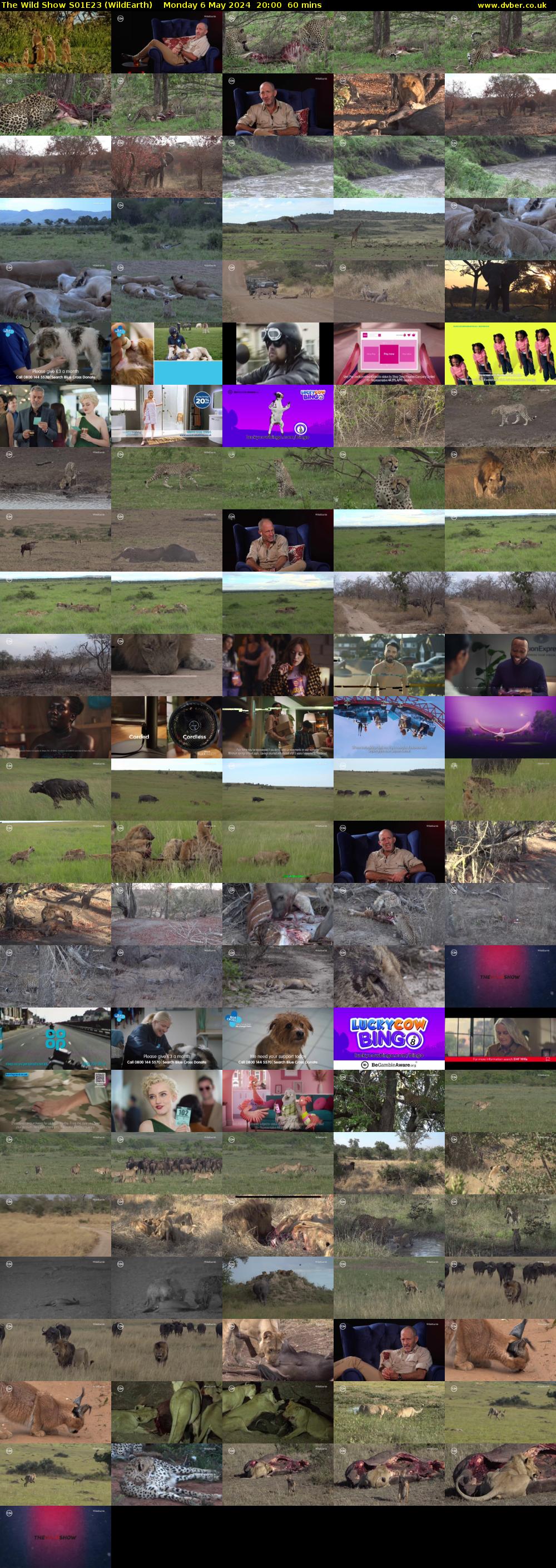 The Wild Show S01E23 (WildEarth) Monday 6 May 2024 20:00 - 21:00