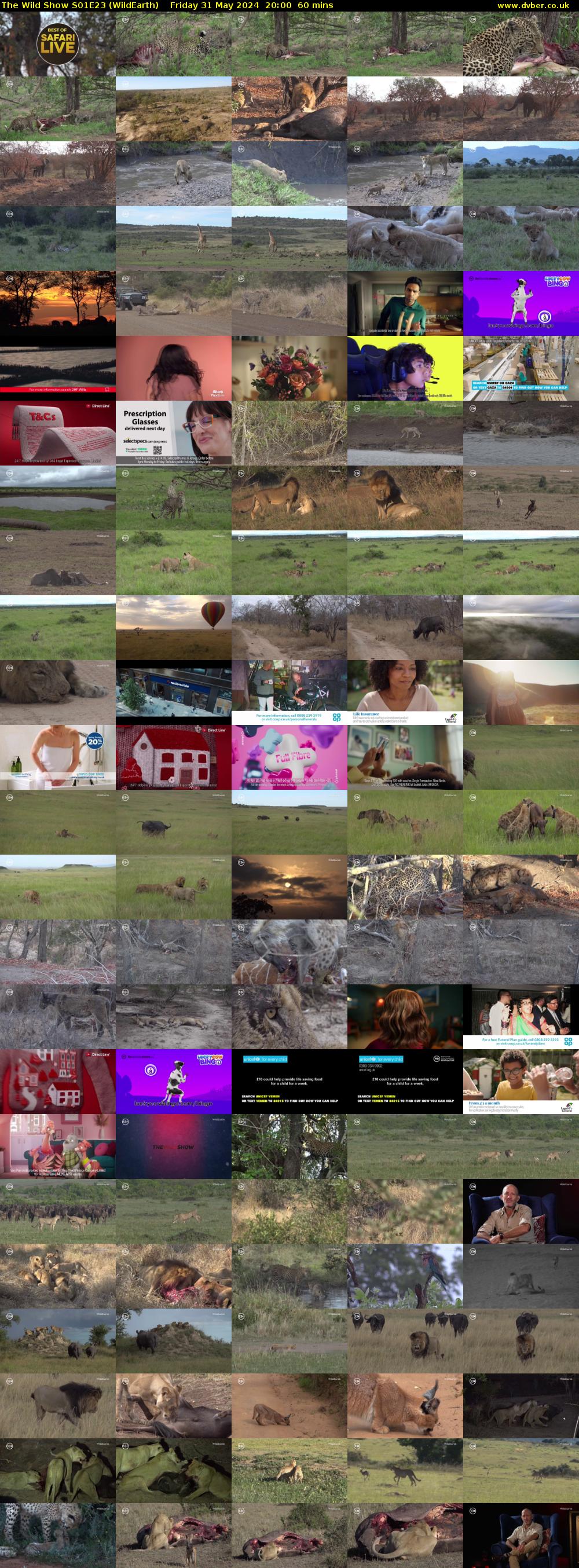 The Wild Show S01E23 (WildEarth) Friday 31 May 2024 20:00 - 21:00