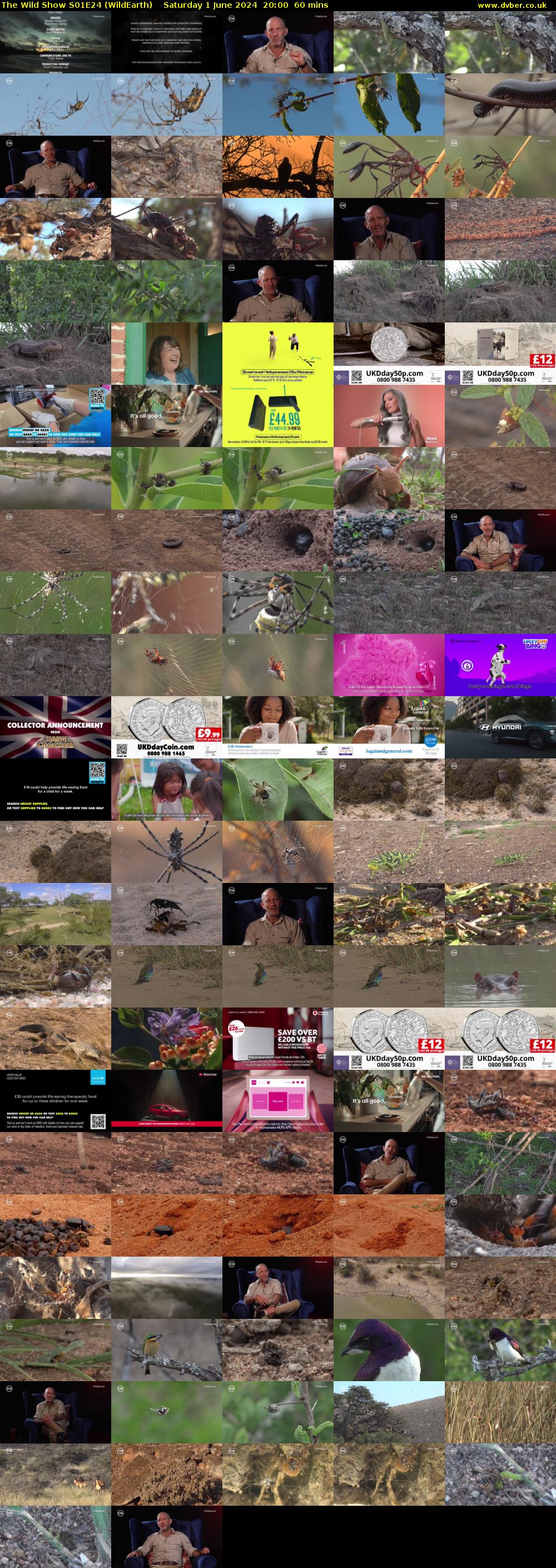 The Wild Show S01E24 (WildEarth) Saturday 1 June 2024 20:00 - 21:00