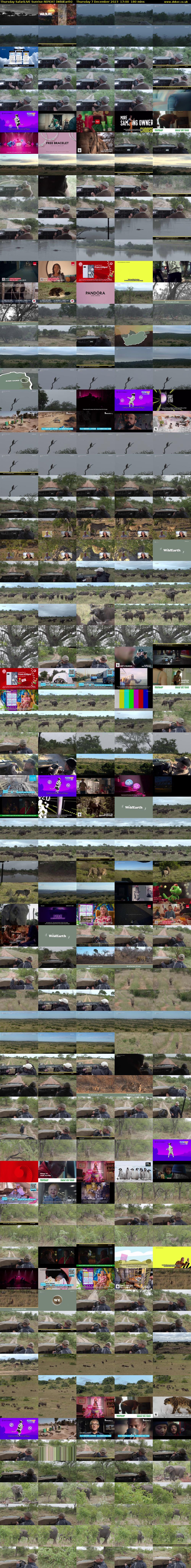 Thursday SafariLIVE Sunrise REPEAT (WildEarth) Thursday 7 December 2023 17:00 - 20:00