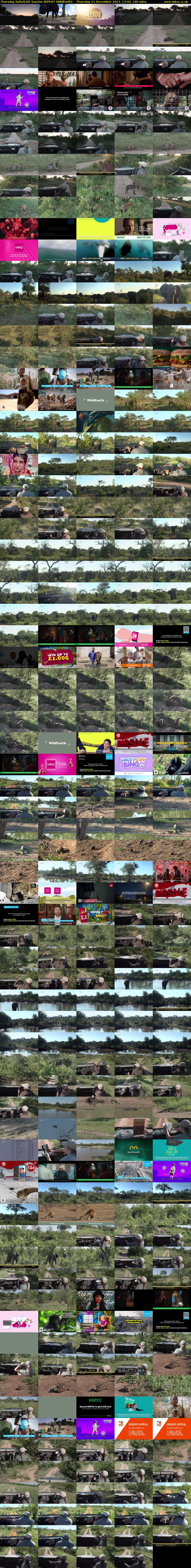 Thursday SafariLIVE Sunrise REPEAT (WildEarth) Thursday 21 December 2023 17:00 - 20:00