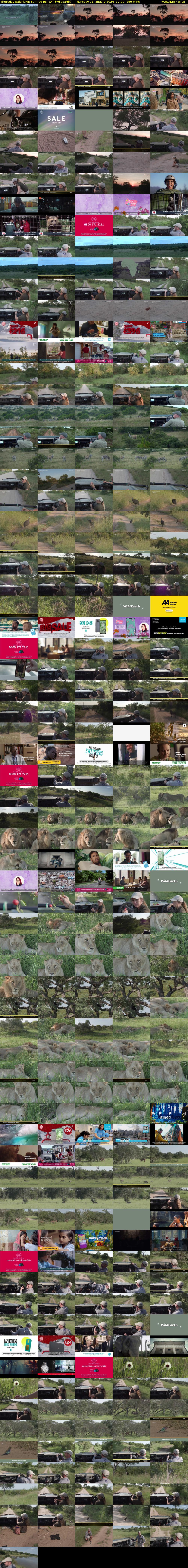 Thursday SafariLIVE Sunrise REPEAT (WildEarth) Thursday 11 January 2024 17:00 - 20:00