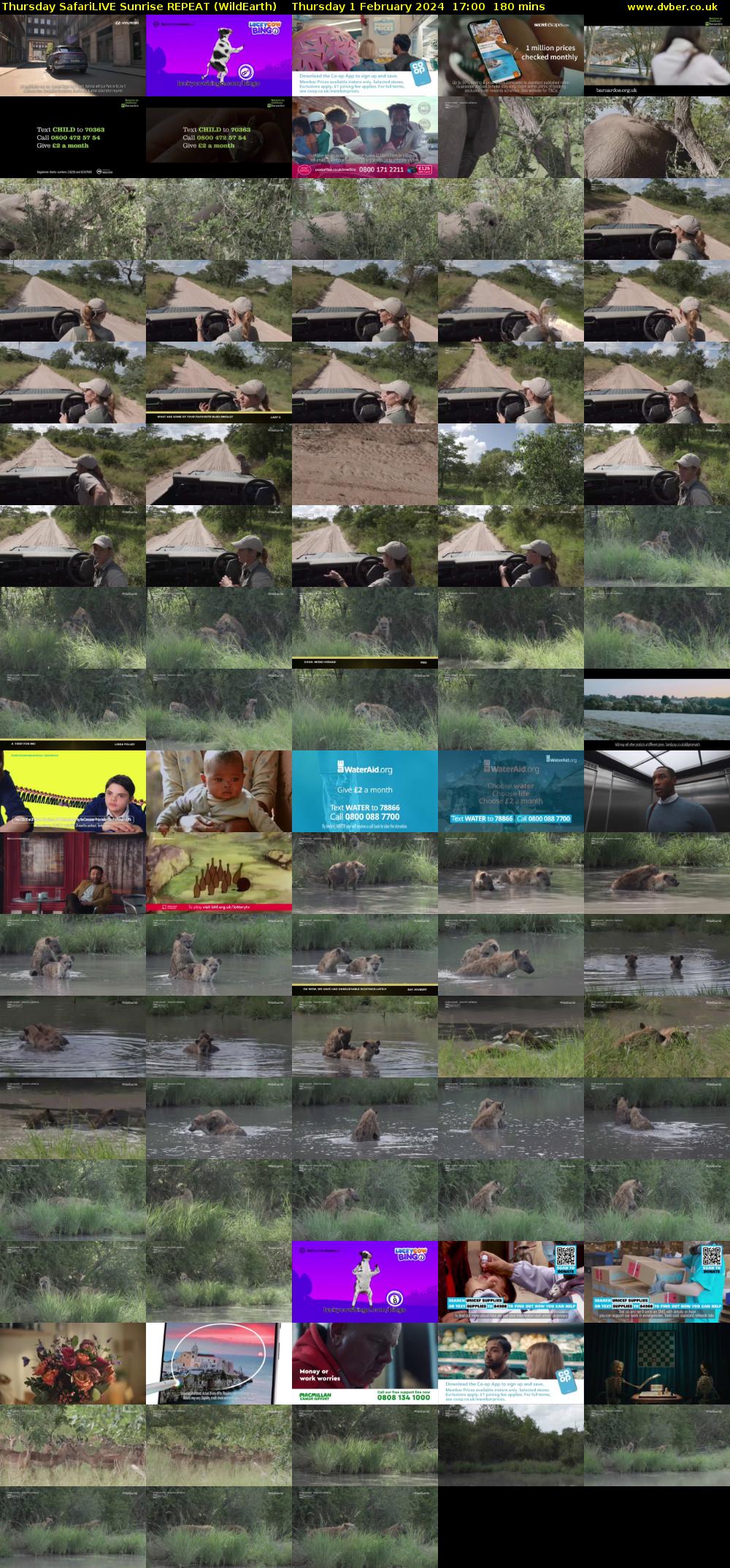 Thursday SafariLIVE Sunrise REPEAT (WildEarth) Thursday 1 February 2024 17:00 - 20:00