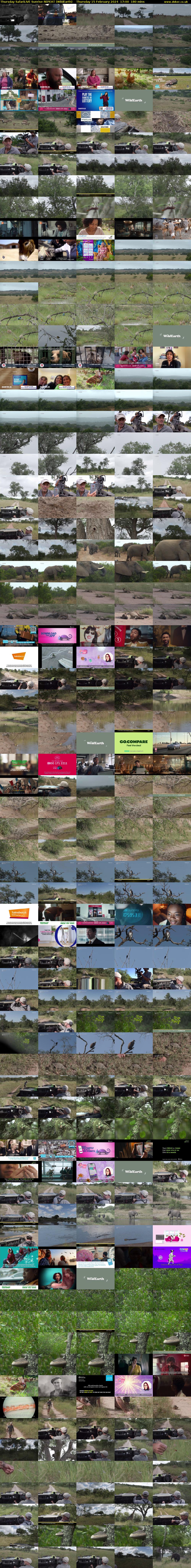 Thursday SafariLIVE Sunrise REPEAT (WildEarth) Thursday 15 February 2024 17:00 - 20:00