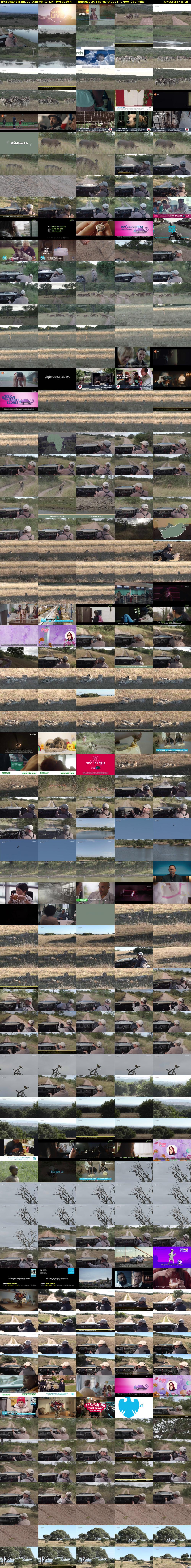 Thursday SafariLIVE Sunrise REPEAT (WildEarth) Thursday 29 February 2024 17:00 - 20:00