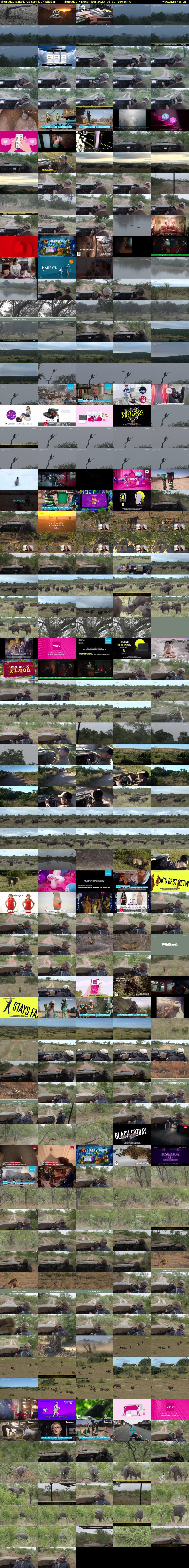 Thursday SafariLIVE Sunrise (WildEarth) Thursday 7 December 2023 06:30 - 09:30