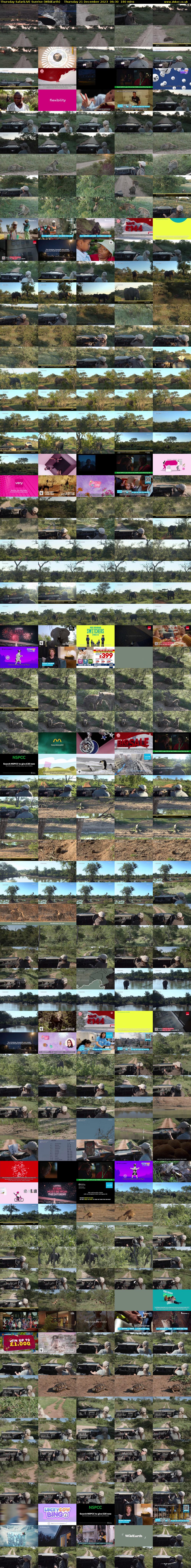 Thursday SafariLIVE Sunrise (WildEarth) Thursday 21 December 2023 06:30 - 09:30