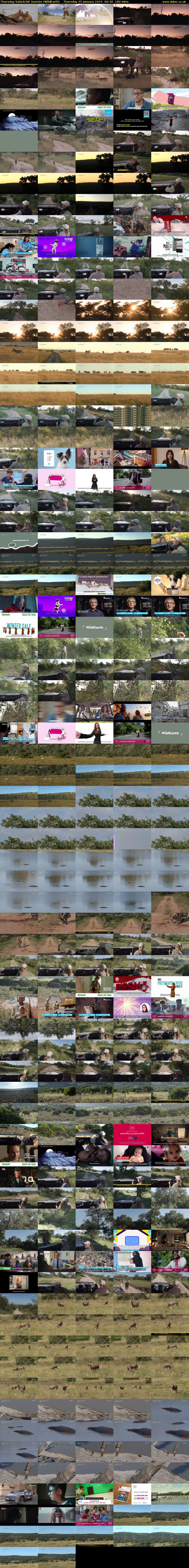Thursday SafariLIVE Sunrise (WildEarth) Thursday 25 January 2024 06:30 - 09:30
