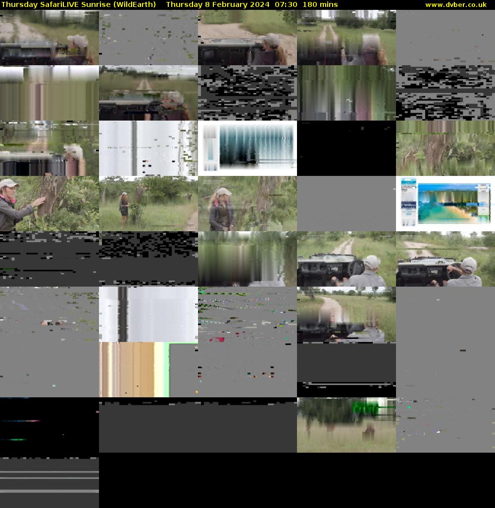 Thursday SafariLIVE Sunrise (WildEarth) Thursday 8 February 2024 07:30 - 10:30