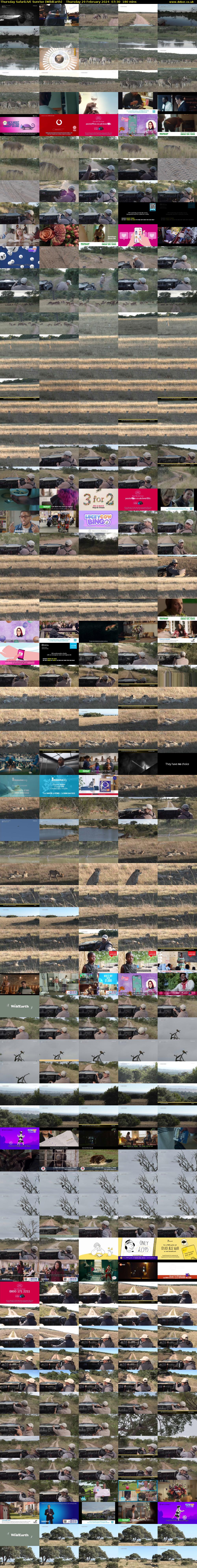 Thursday SafariLIVE Sunrise (WildEarth) Thursday 29 February 2024 07:30 - 10:30