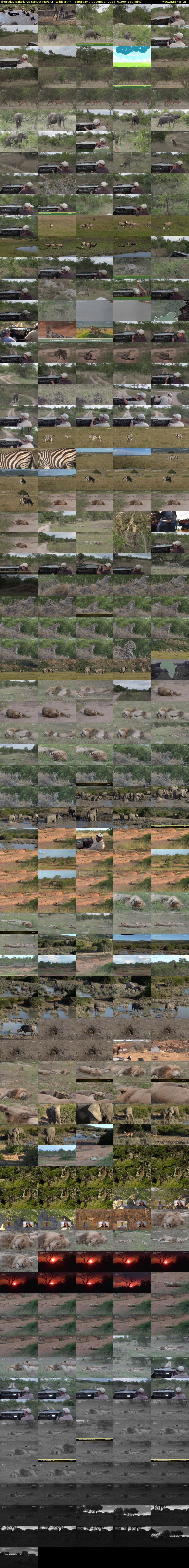 Thursday SafariLIVE Sunset REPEAT (WildEarth) Saturday 9 December 2023 01:00 - 04:00