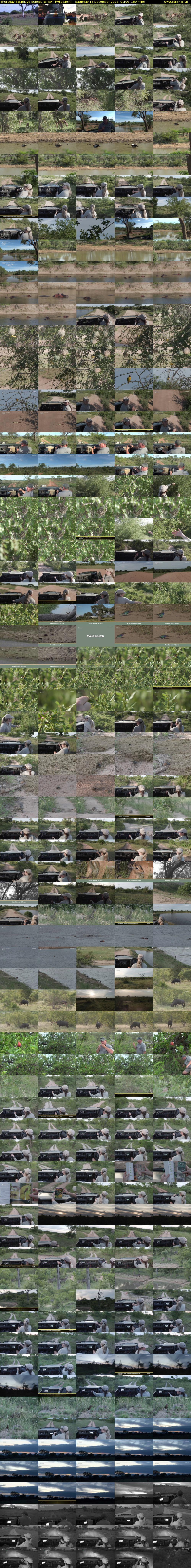 Thursday SafariLIVE Sunset REPEAT (WildEarth) Saturday 16 December 2023 01:00 - 04:00