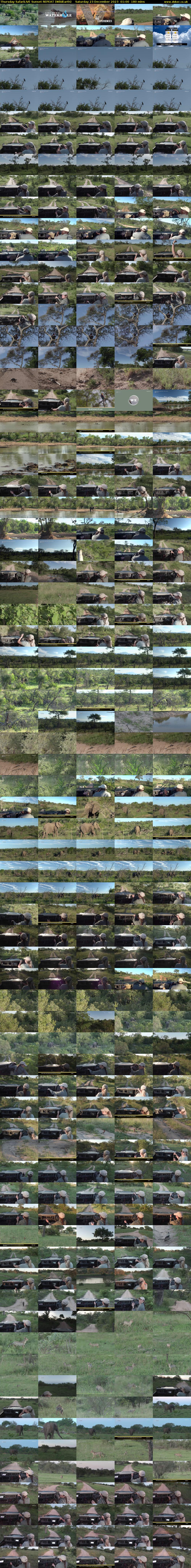 Thursday SafariLIVE Sunset REPEAT (WildEarth) Saturday 23 December 2023 01:00 - 04:00