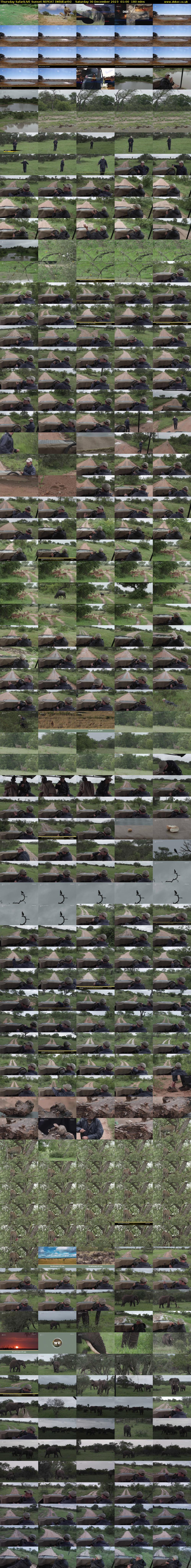 Thursday SafariLIVE Sunset REPEAT (WildEarth) Saturday 30 December 2023 01:00 - 04:00