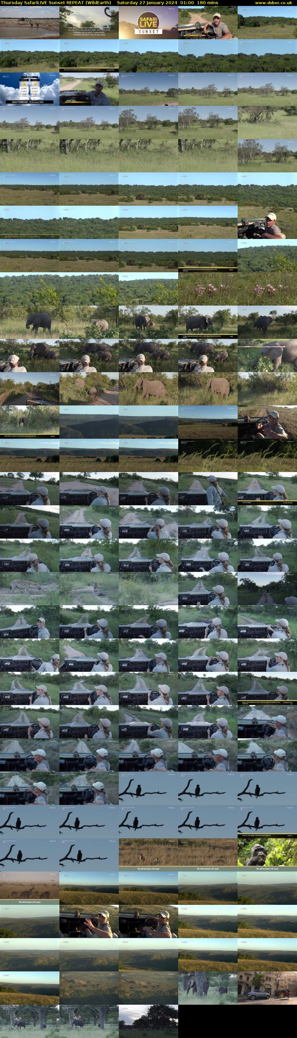 Thursday SafariLIVE Sunset REPEAT (WildEarth) Saturday 27 January 2024 01:00 - 04:00