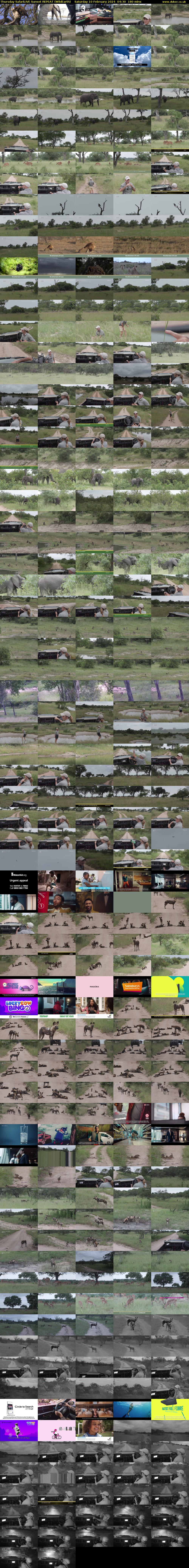 Thursday SafariLIVE Sunset REPEAT (WildEarth) Saturday 10 February 2024 04:30 - 07:30
