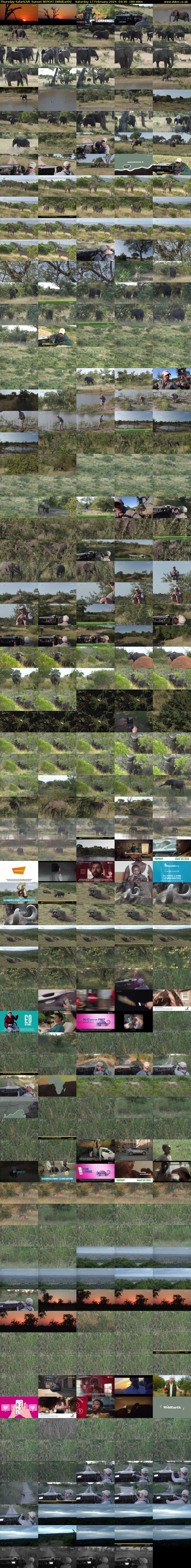 Thursday SafariLIVE Sunset REPEAT (WildEarth) Saturday 17 February 2024 04:30 - 07:30