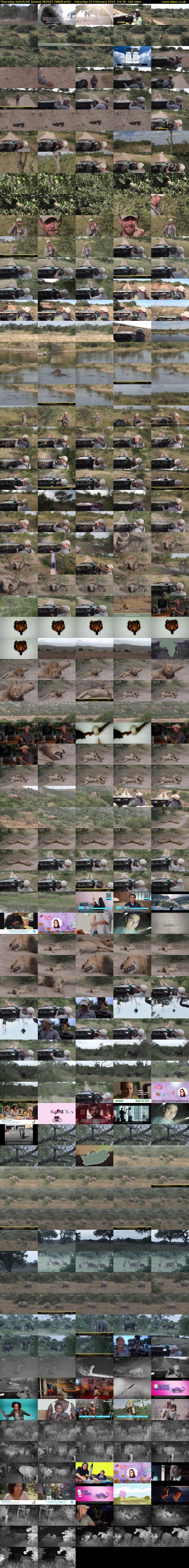 Thursday SafariLIVE Sunset REPEAT (WildEarth) Saturday 24 February 2024 04:30 - 07:30
