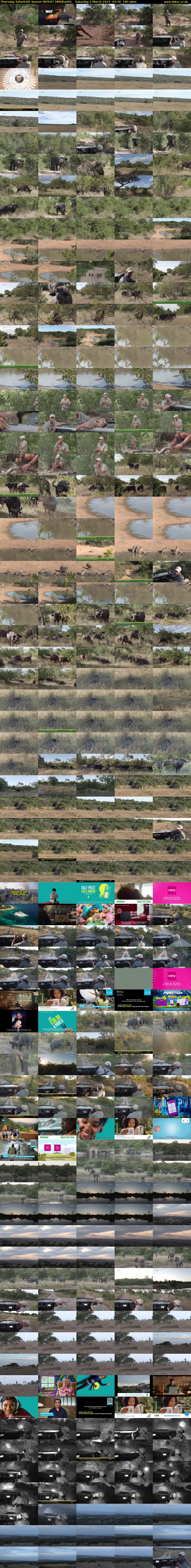 Thursday SafariLIVE Sunset REPEAT (WildEarth) Saturday 2 March 2024 04:30 - 07:30