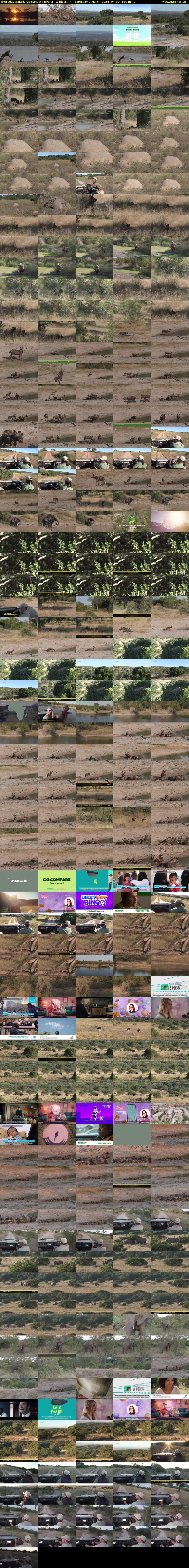 Thursday SafariLIVE Sunset REPEAT (WildEarth) Saturday 9 March 2024 04:30 - 07:30